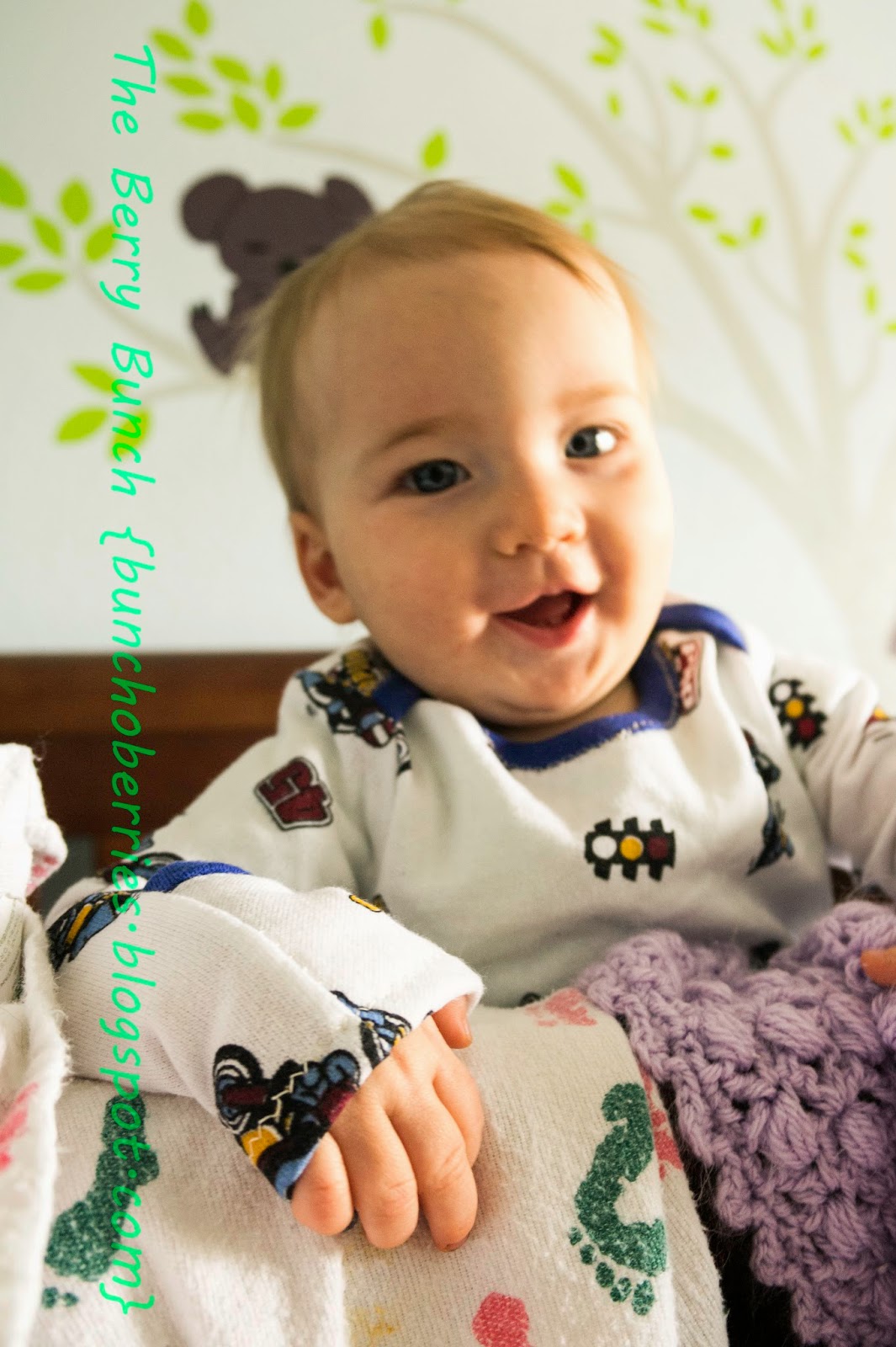 The Berry Bunch: Ainsley and Aiden by Stitchwerx: Blog Tour