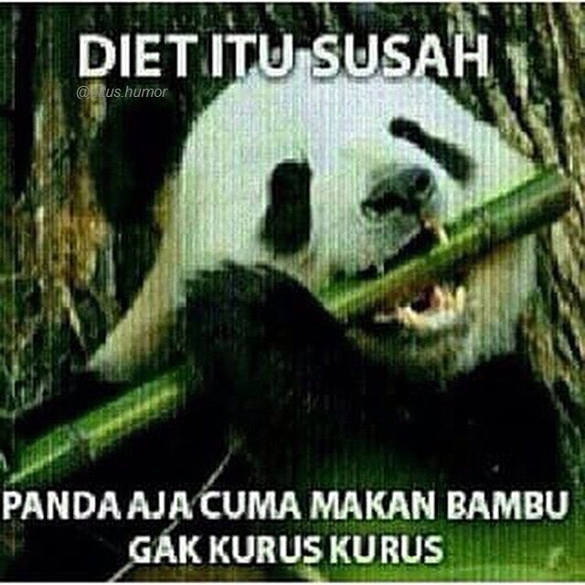 Lihat Gambar Kata Diet Buat Aengaeng Makanan Ngga Enak Lihat Gambar Kata Diet Buat Aengaeng Makanan Ngga Enak