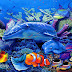 44 Ragam Ikan Hias Air Laut Yang Mudah Dipelihara