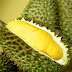 [TIPS] 8 Tips Membeli Buah Durian Yang Terbaik | Cara Beli Buah Durian Yang Elok