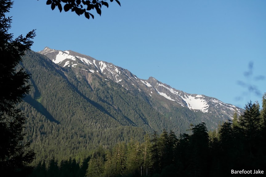 Mount Carrie from the Hoh Lewis meadows camp
