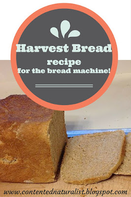 harvest bread recipe for the bread machine