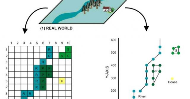 Struktur Basis Data SIG Geograph88