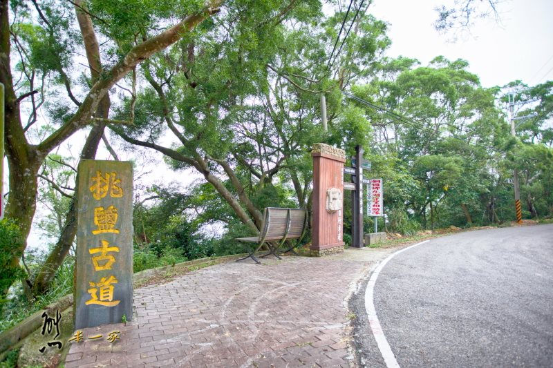大南窩|南窩綠丘