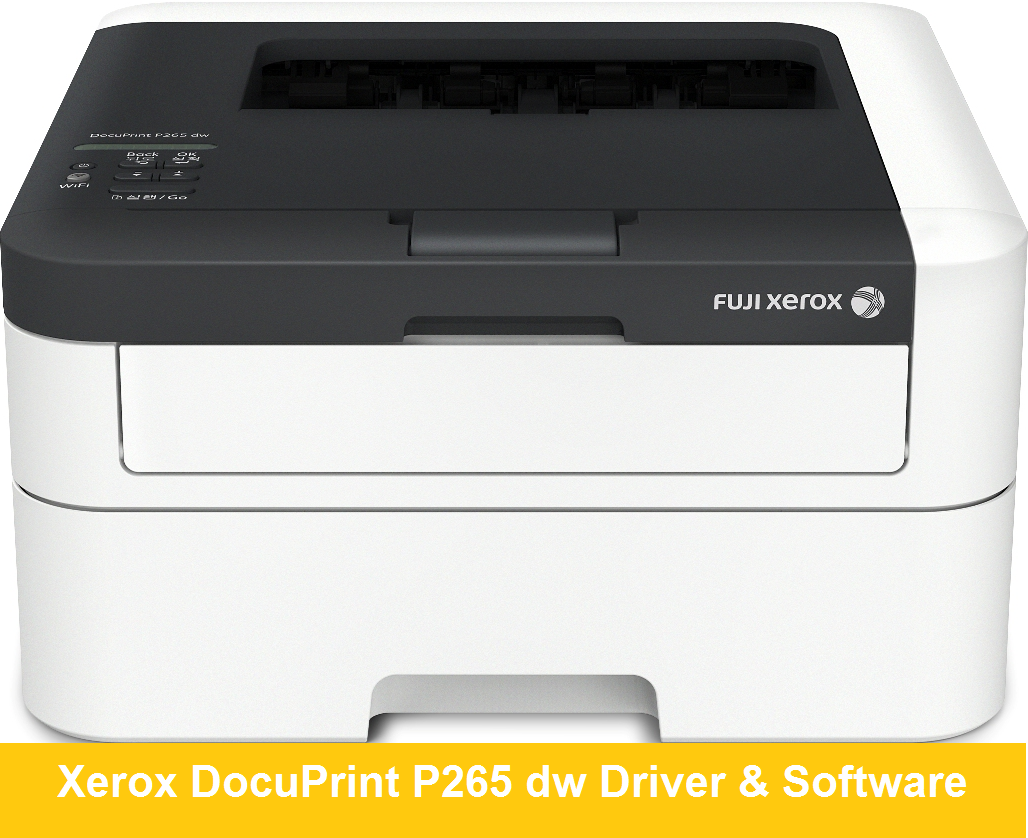 Лазерный принтер максимальное разрешение. Фуджи ксерокс. Xerox 225. Принтер Фуджи. Лазерный принтер Fujifilm.