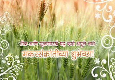 Download Makar Sankranti HD Images in Marathi Download Makar Sankranti HD Images in Marathi