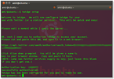 How to use the linux terminal to update twitter