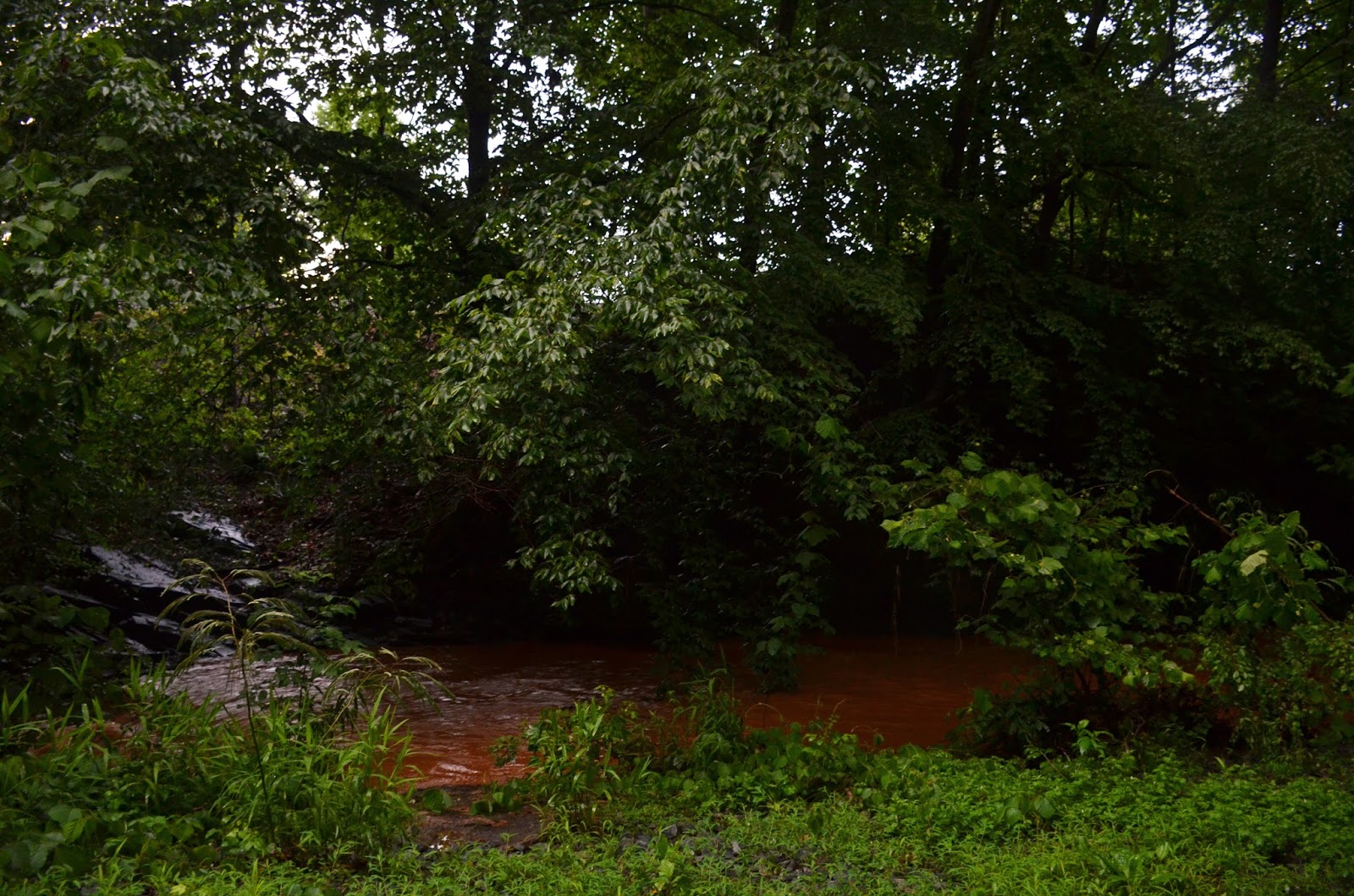The clay made quite a contrast against the bright green leaves.