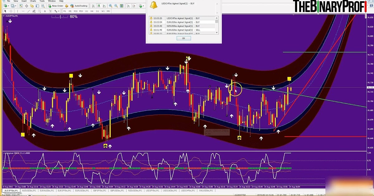 Bo track elite v1.2 binary options trading indicator