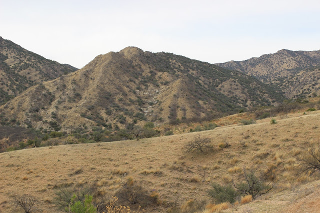 Guided%2BCoues%2BDeer%2BHunts%2Bin%2BSonora%2BMexico%2Bwith%2BJay%2BScott%2Band%2BDarr%2BColburn%2BDIY%2Band%2BFully%2BOutfitted%2B24.JPG