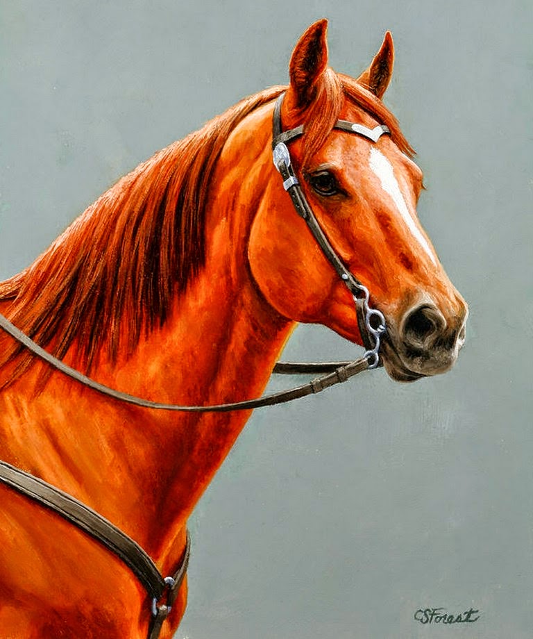 fotos-y-pinturas-de-caballos