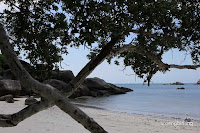 pantai tanjung tinggi