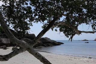 pantai tanjung tinggi belitung