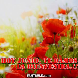 imagenes bienvenido junio frases