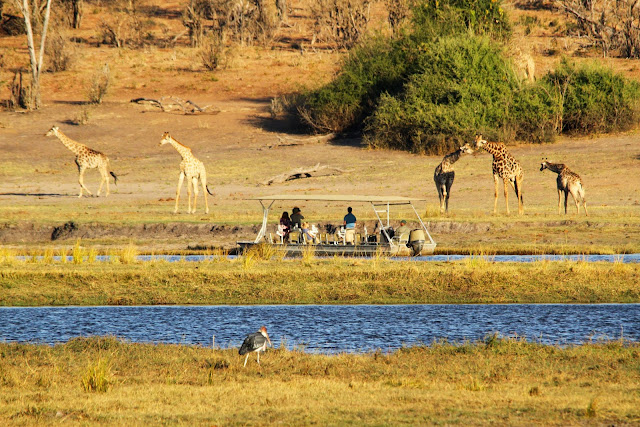 VIAGEM DE OVERLAND - Parte 3 - De Windhoek, passando pelo Okavango e Chobe, até às Cataratas de Vitória
