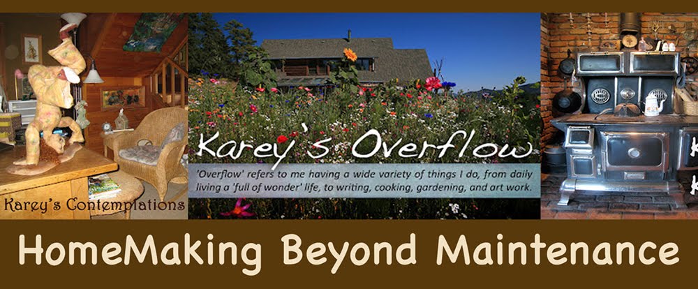 Karey Swan's Overflow