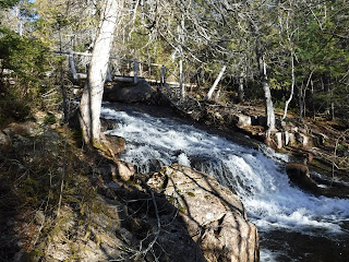 Lower Hadlock Pond Falls in Northeast Harbor, Maine