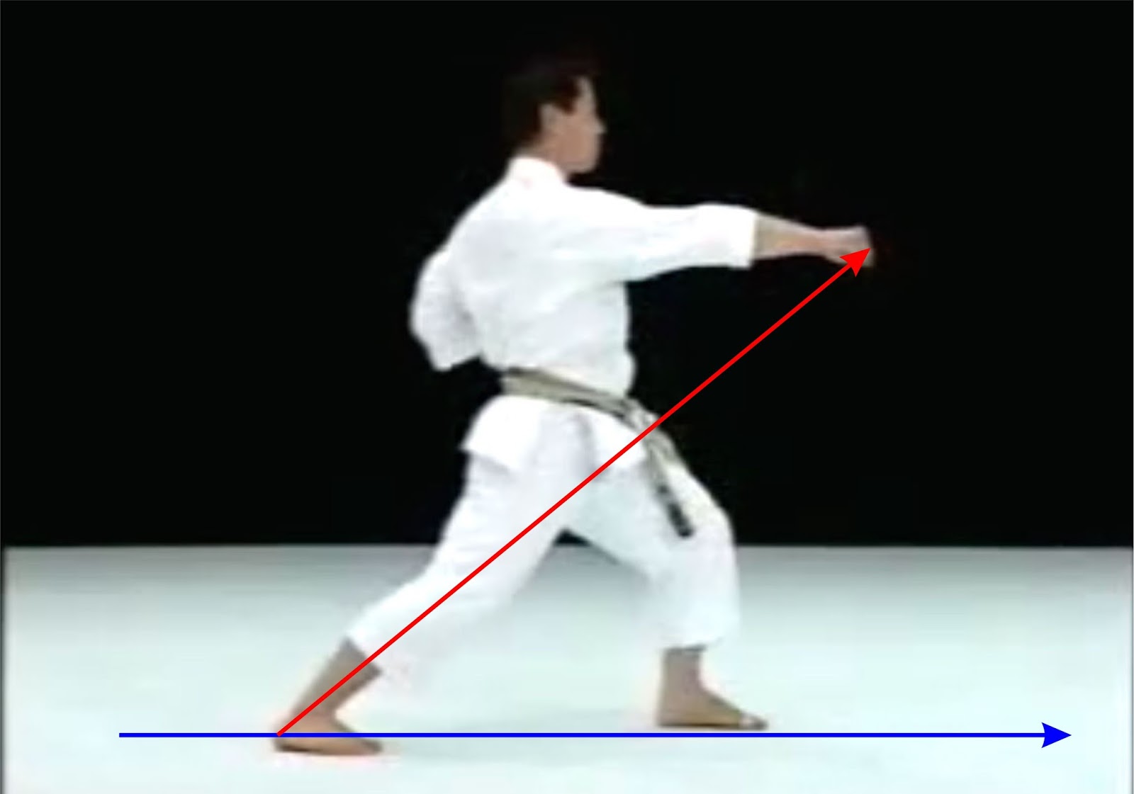 10 принципов каратэ. Удар цки в каратэ. Сито рю кумитэ. Нанесение ударов в соответствии с цветовым сигналом в каратэ. Боевые искусства рядом.