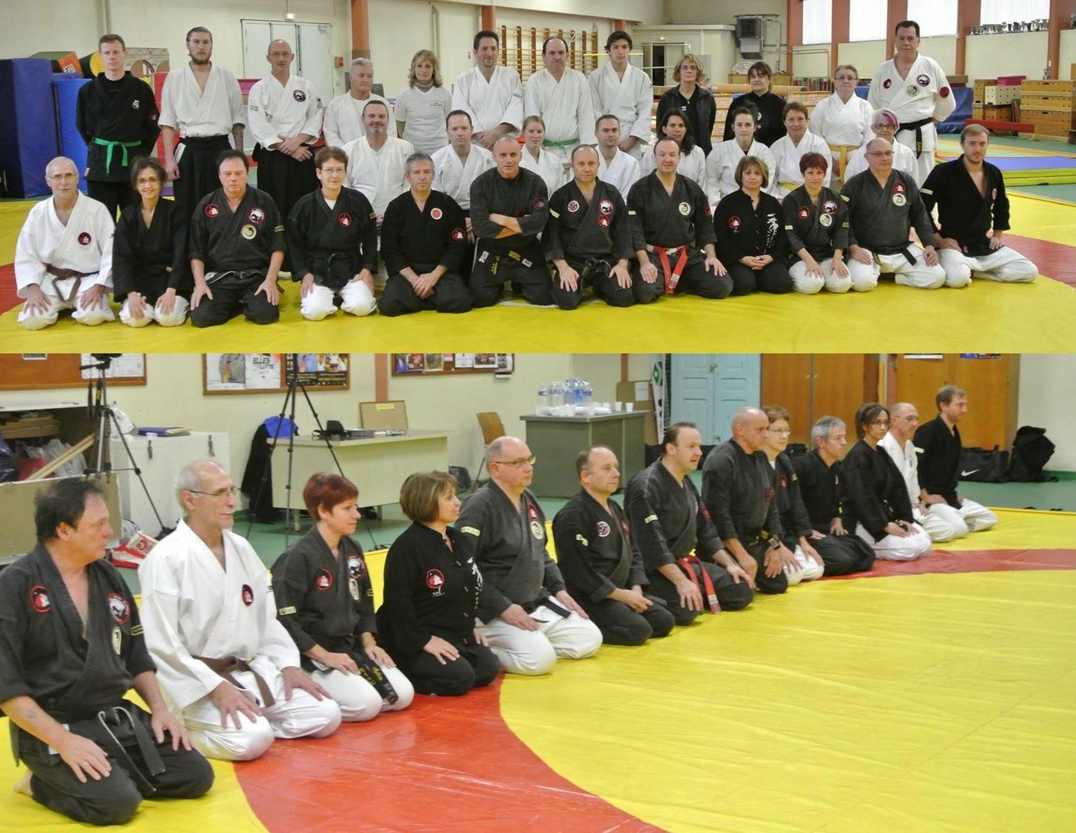 ARTS MARTIAUX YISEISHINDO MontceaulesMines Téléthon 2014 stage d