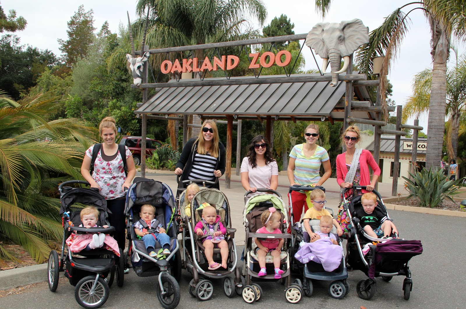 Like A Fat Kid Loves Cake Oakland Zoo with great friends