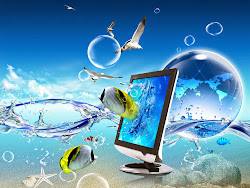 pc desktop wallpapers latest fish computer laptop backgrounds fondos pantalla