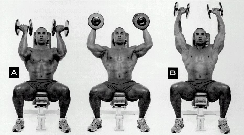 Diego Gallardo PRESS ARNOLD HOMBROS