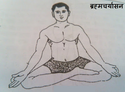 Brahmacharyaasan Yoga Mudra Health Benefits