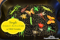 Insect Study for Toddlers with Free Printable {Learn & Play Link Up}