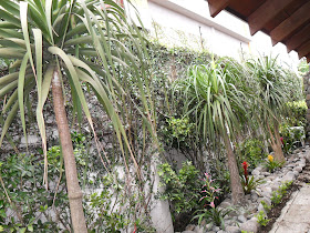 MANTENIMIENTO Y DISEÑO DE JARDINES: jardin Seco