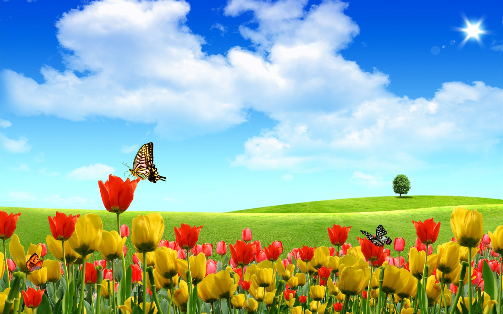 Fondo Pantalla Paisajes Animados Tulipanes Imagenes Hilandy