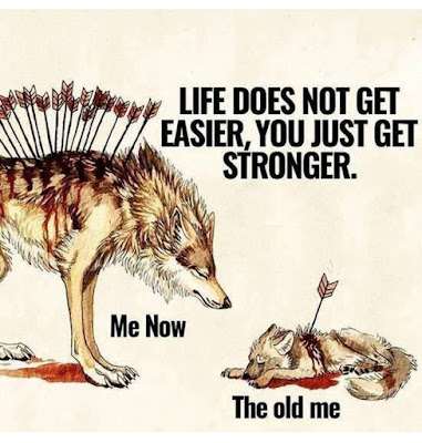 Life Quotes On Happiness Life Quotes On Happiness