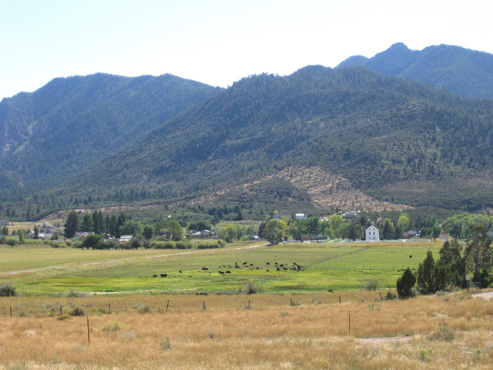 St. Snapshots Pine Valley