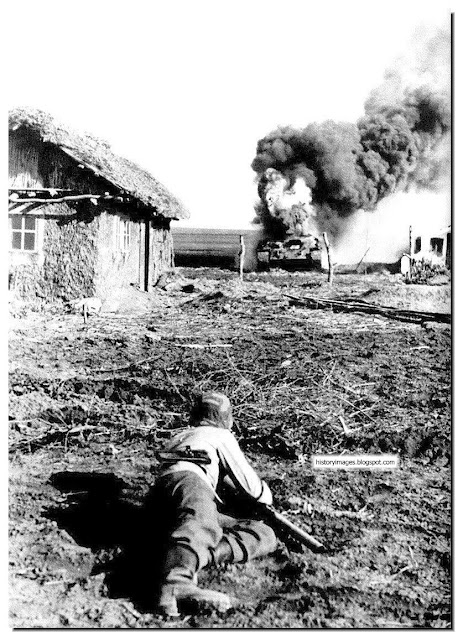 HISTORY IN IMAGES: Pictures Of War, History , WW2: Waffen
