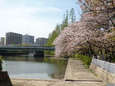 桜 桜