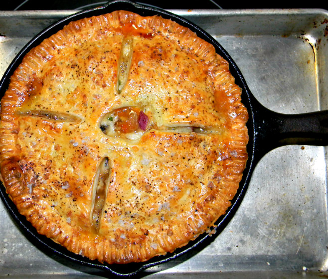 Wish Upon A Dish Cast Iron Skillet Double Crust Chicken Pot Pie ♥ 