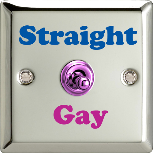 Can Gay Men Become Straight 114