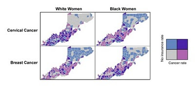 TrueSeminole: Bivariate Choropleth Maps