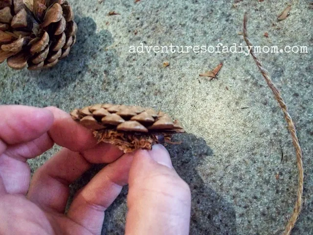 cutting off the end of a pine cone to make a flower