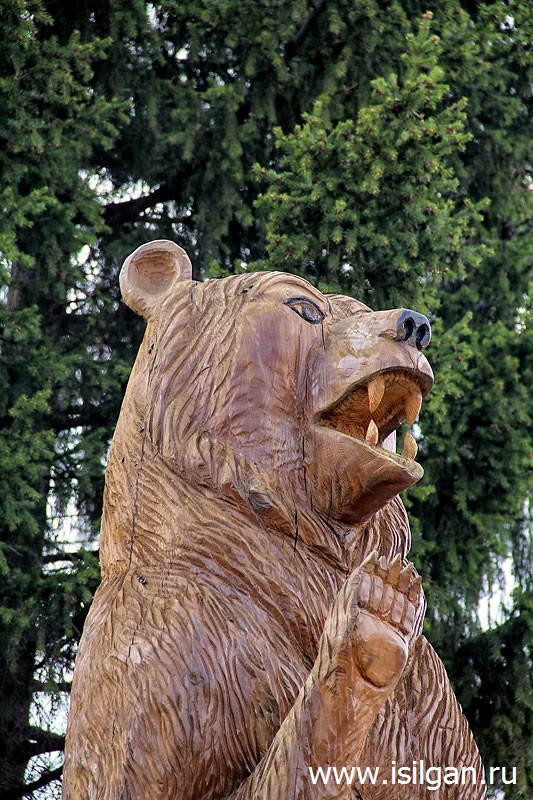 Медвежий угол. Город Нязепетровск. Челябинская область