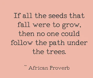 If all the seeds that fall were to grow, then no one could follow the path under the trees. ~ African Proverb