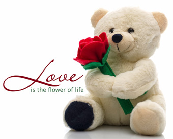 Happy Teddy Day SMS 2016 Happy Teddy Day SMS 2016