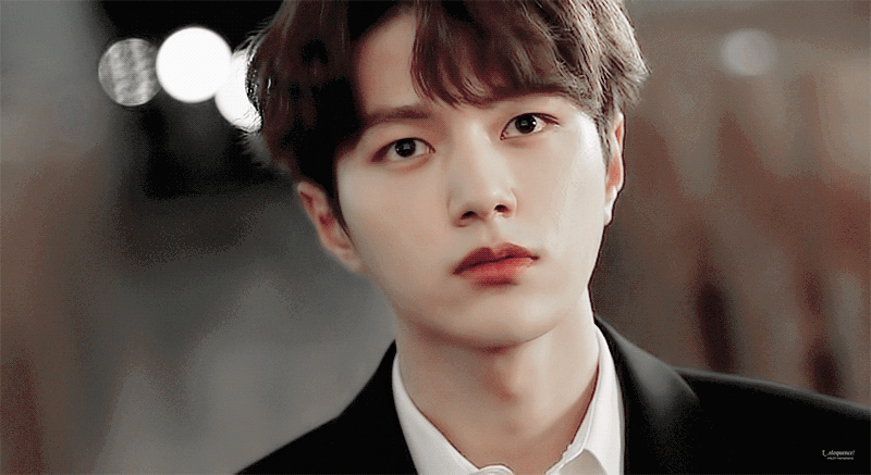 %25EB%258B%25A8%25EC%2582%25AC%25EB%259E