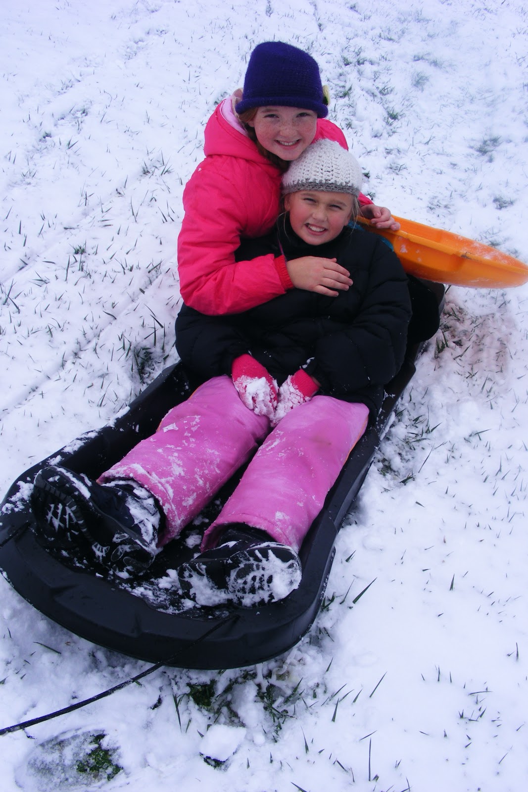 Scrumptious... Sledding in French Park