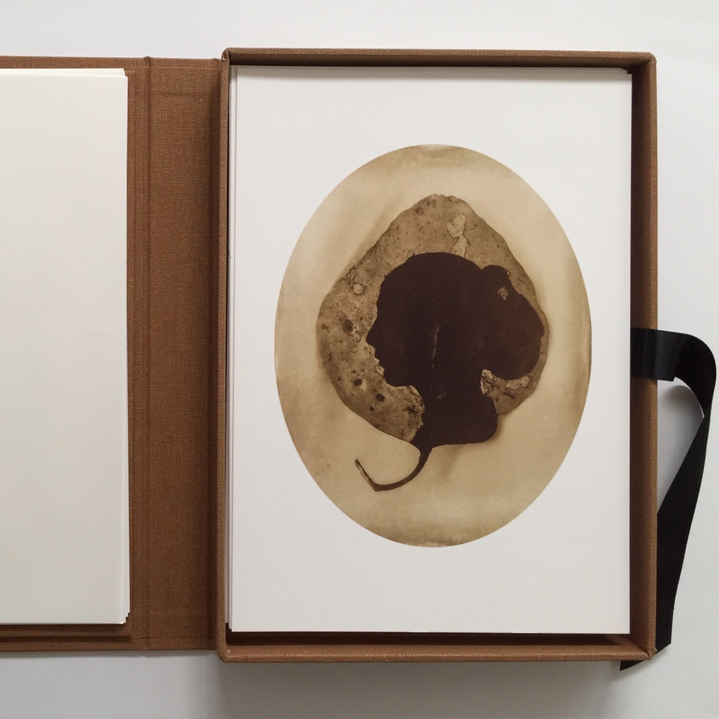 Moth Woman Press LEAVES OF ABSENCE shortlisted for Geelong acquisitive print award