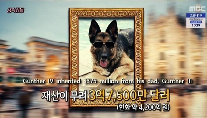 이미지에 대체텍스트 속성이 없습니다; 파일명은 6074zfz3mi37rmzwboii.jpg 입니다.