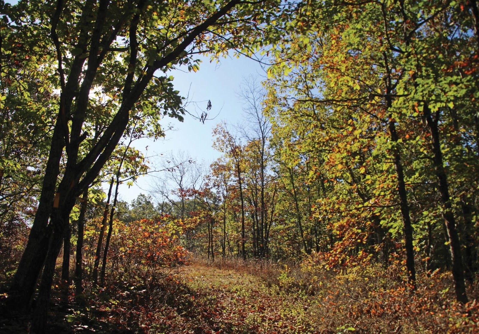 Pa Environment Digest Blog Get Outdoors Poconos Nov 25 Cranberry