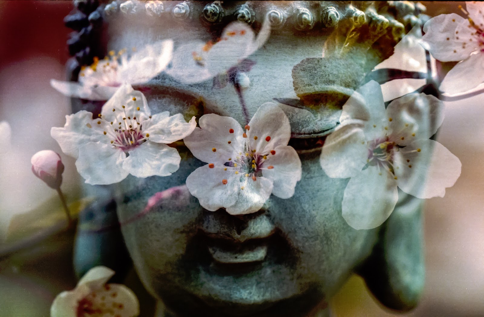 freshen up your living space for summer - Face of the Buddha status covered in pink flowers