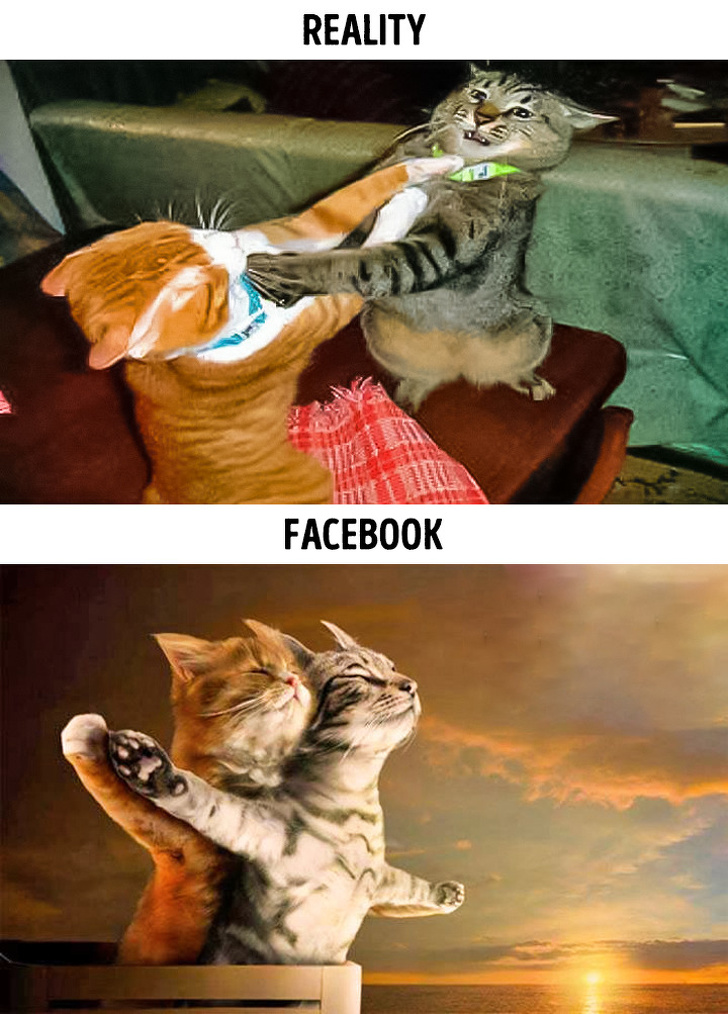 Foto Instagram-vs-reality-04