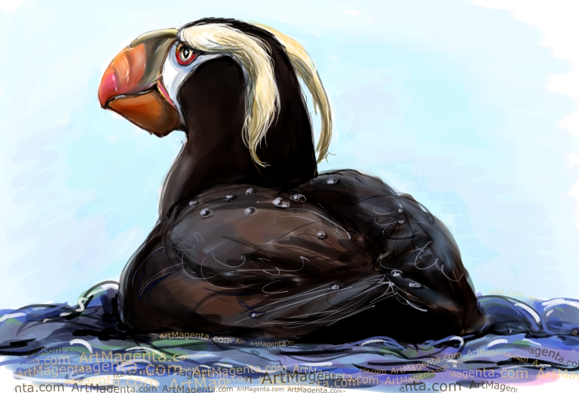 Tufted Puffin sketch painting. Bird art drawing by illustrator Artmagenta