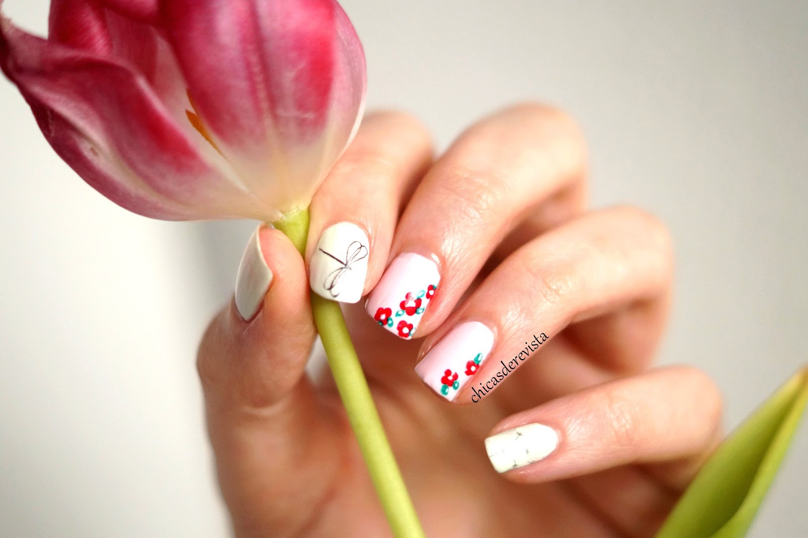Epingle Par Nathalie Barre Sur Photos Avec Images Roses Rouges